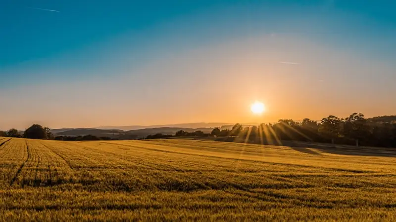 Grandes plaines agricoles du Lauragais sujettes aux poussières de moisson